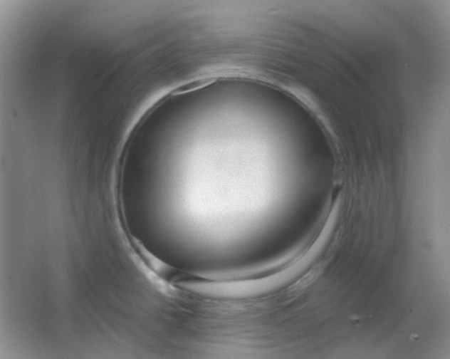 X0000065951438200603241809