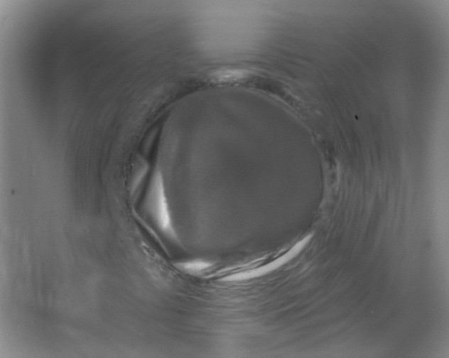 X0000065951441200603241809