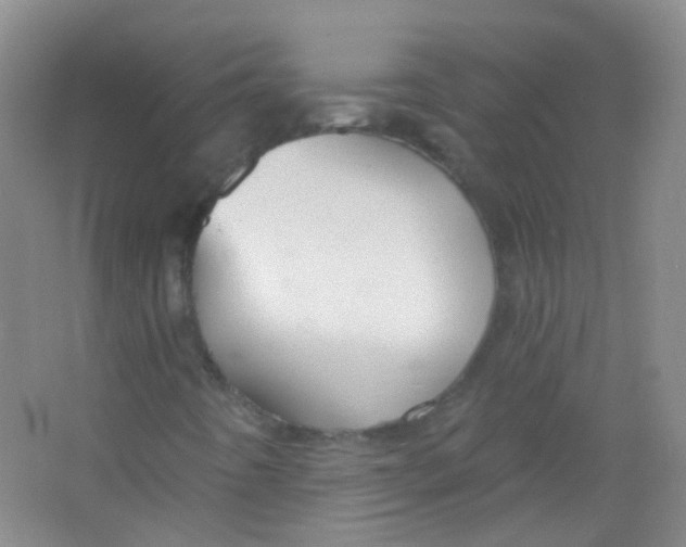 X0000065951442200603241809
