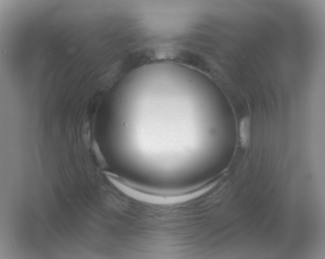 X0000065951443200603241809