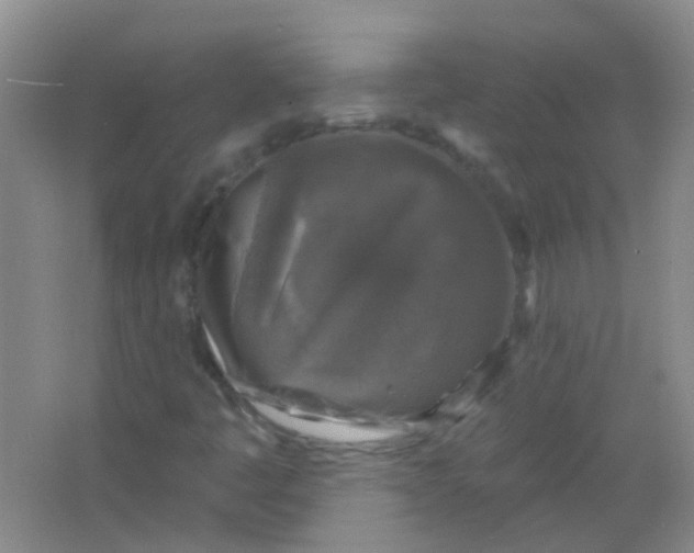 X0000065951445200603241808