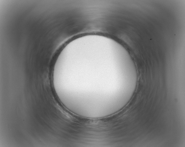 X0000065951452200603241808