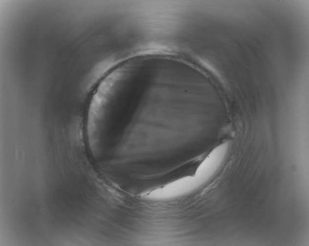 X0000065951455200603241808