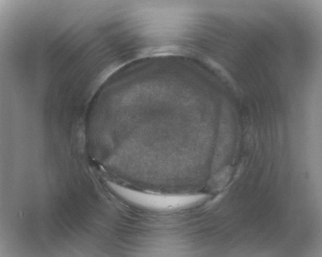 X0000065951457200603241808