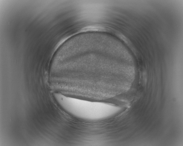 X0000065951465200603241808