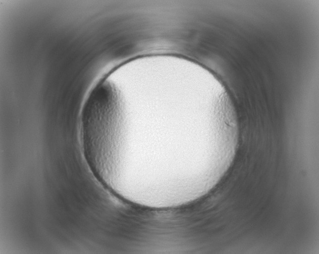 X0000065951472200603241808