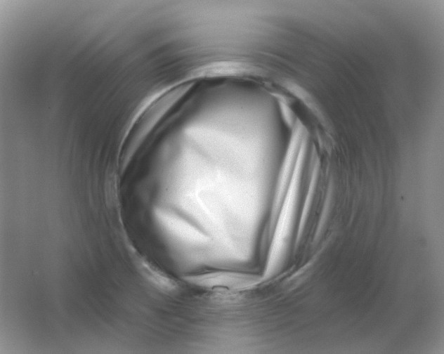 X0000065951473200603241808