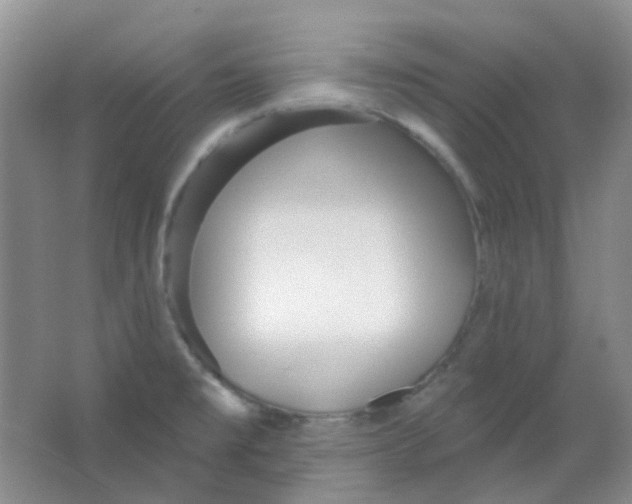 X0000065951477200603241808
