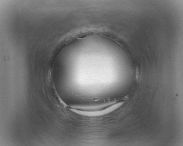 X0000065951492200603241807