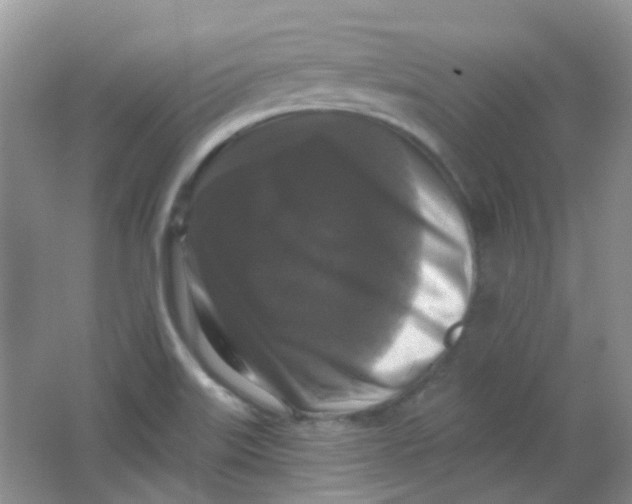 X0000065951515200603241807
