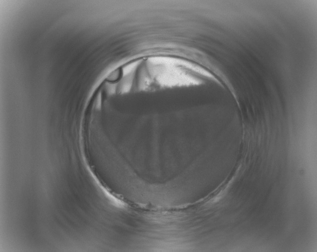 X0000065951533200603241808