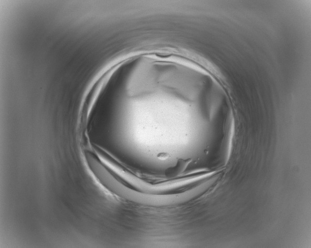 X0000065951536200603241808