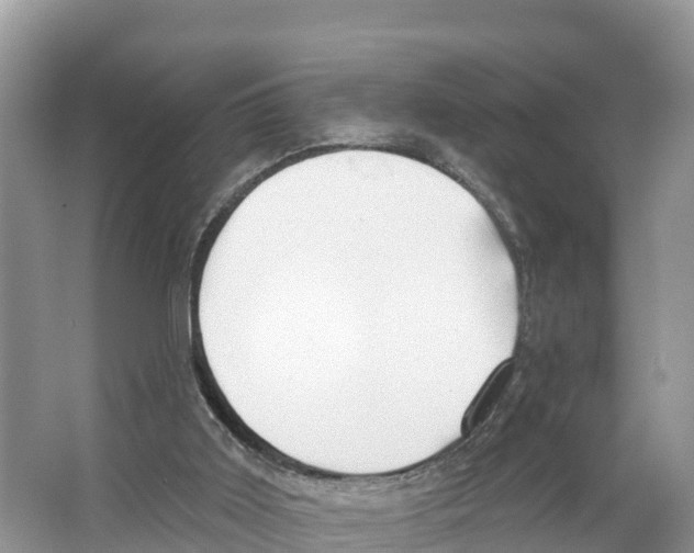 X0000065950011200603311758
