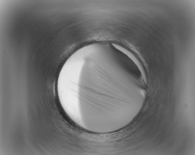 X0000065950019200603311758