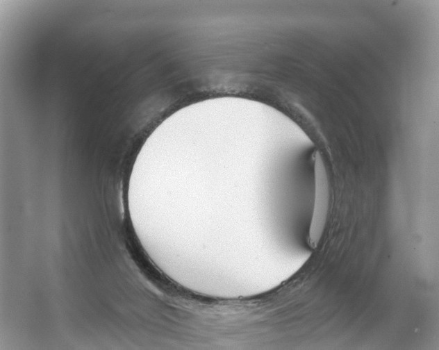 X0000065950020200603311758