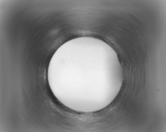 X0000065950024200603311757