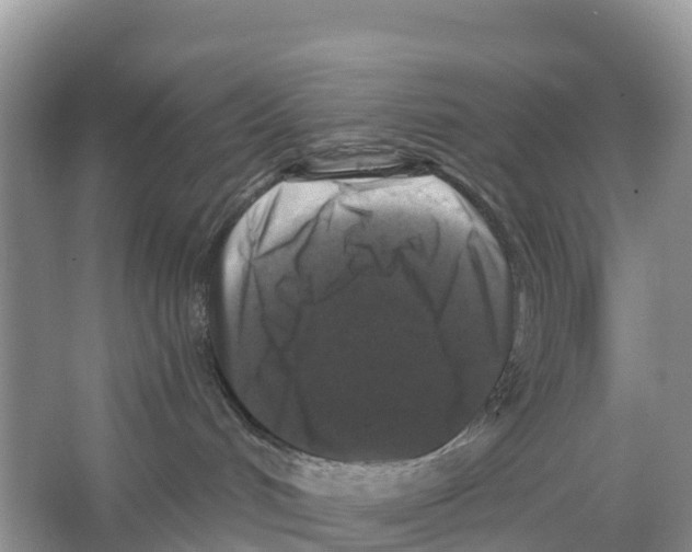 X0000065950048200603311757