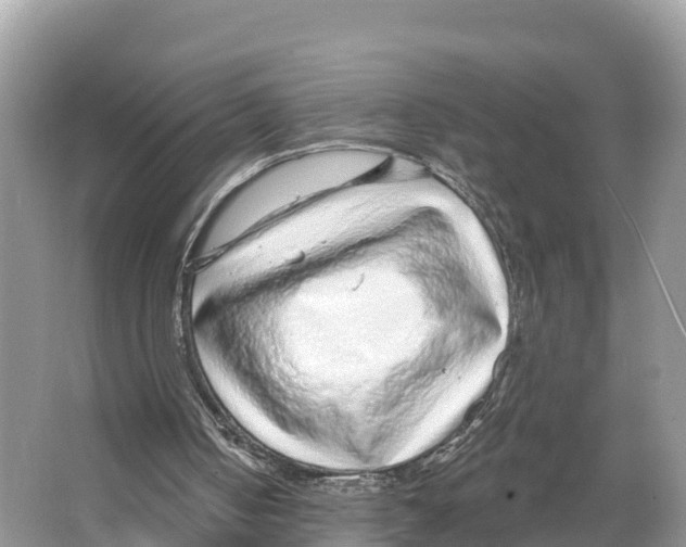 X0000065950050200603311756