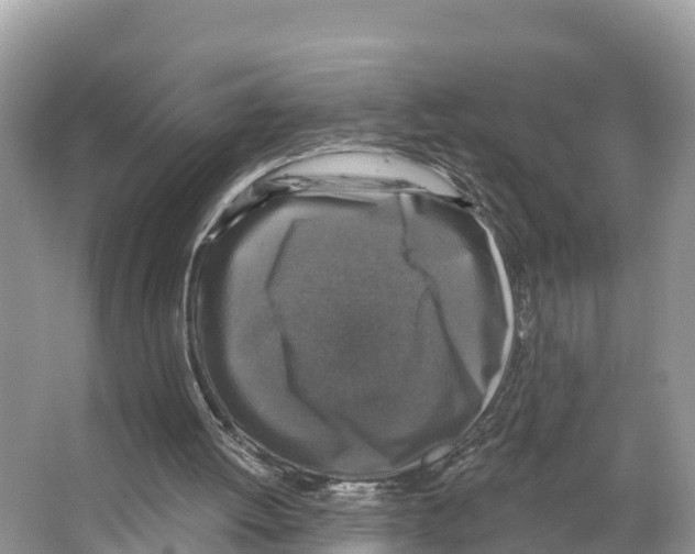 X0000065950052200603311756