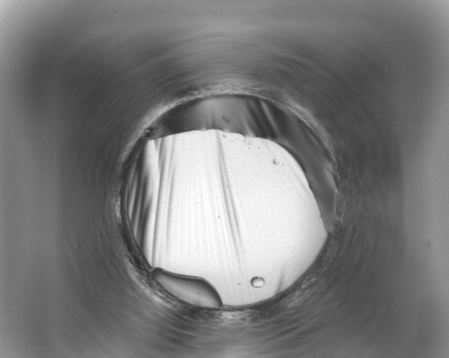 X0000065950060200603311756