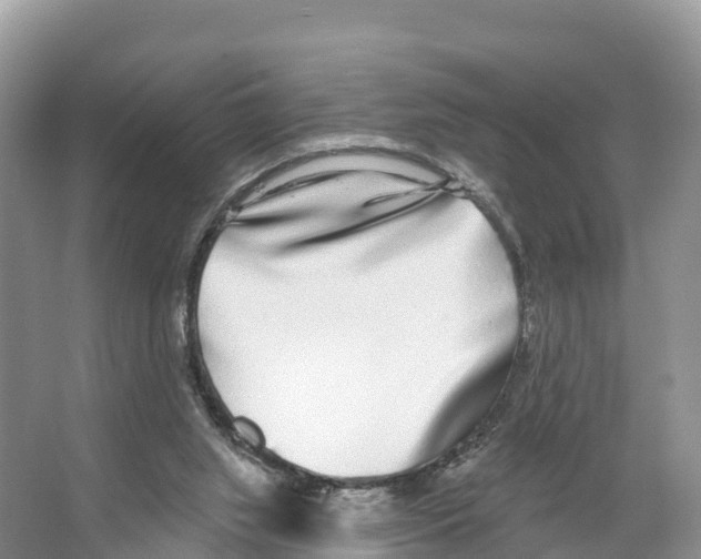 X0000065950063200603311756