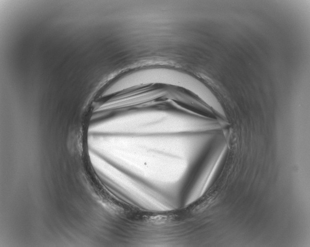 X0000065950064200603311756