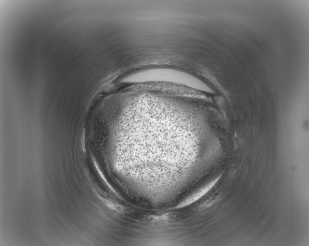 X0000065950068200603311757