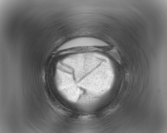 X0000065950072200603311757