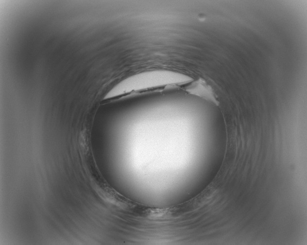 X0000065950088200603311757
