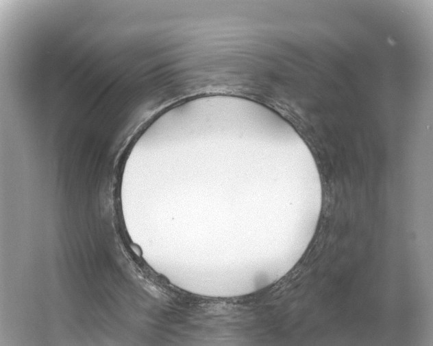X0000065950098200603311756