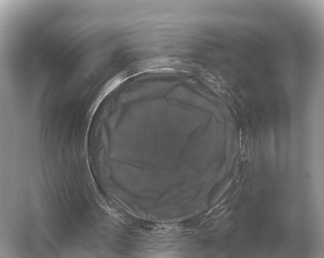 X0000065950099200603311756
