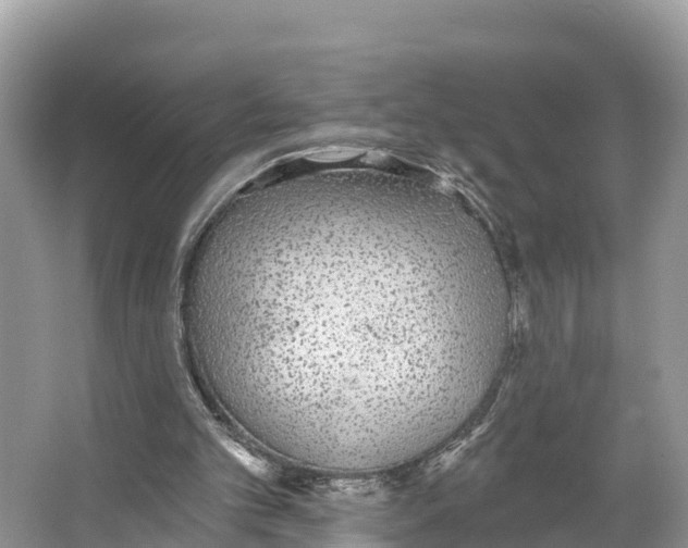 X0000065950101200603311756