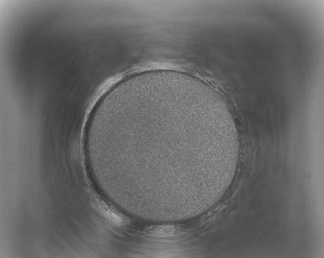X0000065950104200603311756