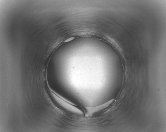 X0000065950105200603311756