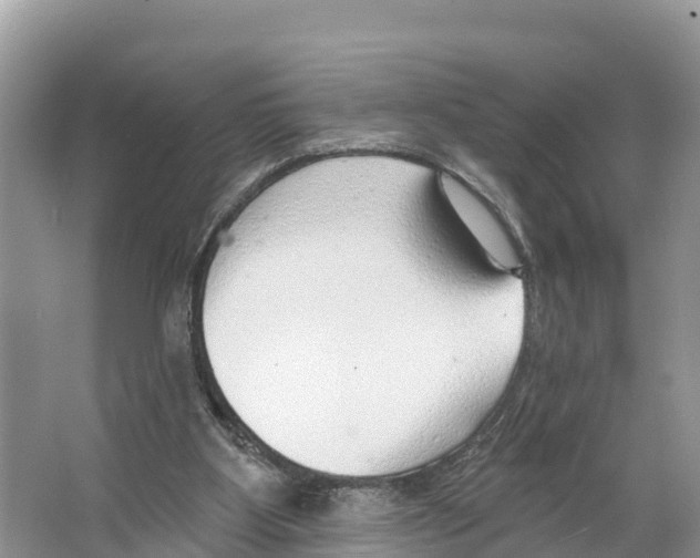 X0000065950107200603311756