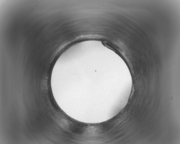 X0000065950111200603311756