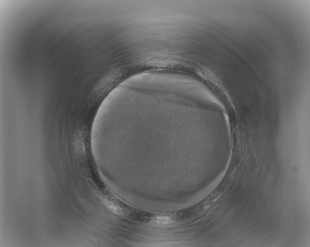 X0000065950114200603311756