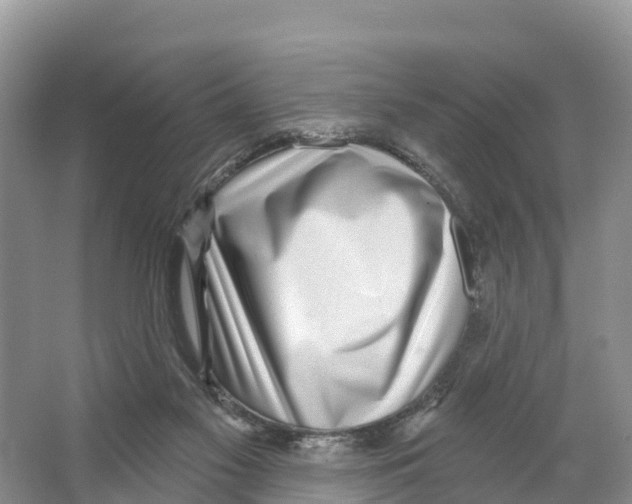 X0000065950117200603311756