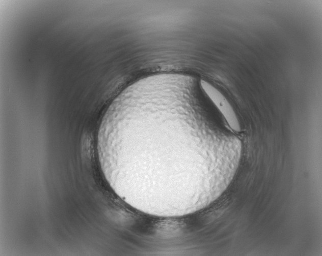 X0000065950123200603311756