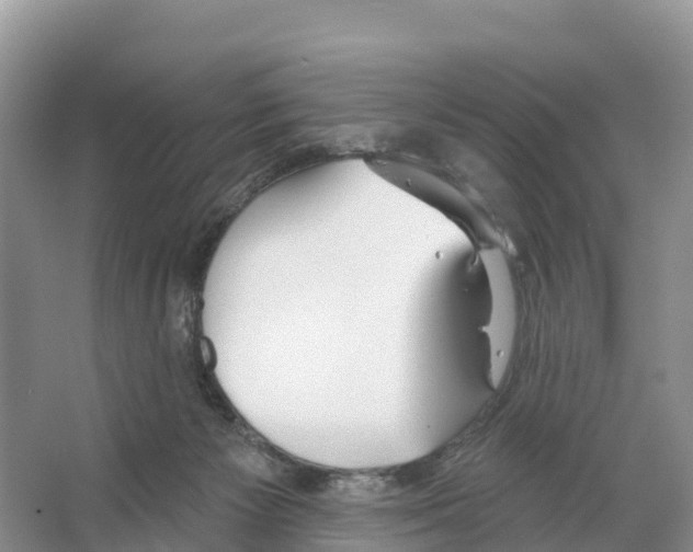 X0000065950125200603311756