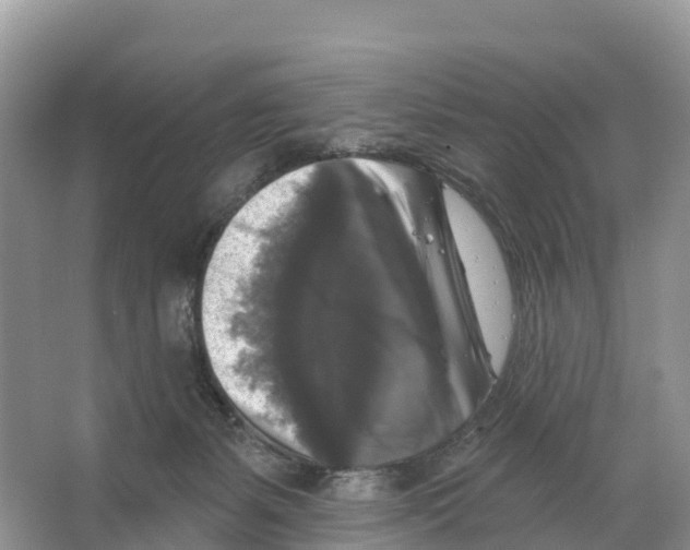 X0000065950127200603311756