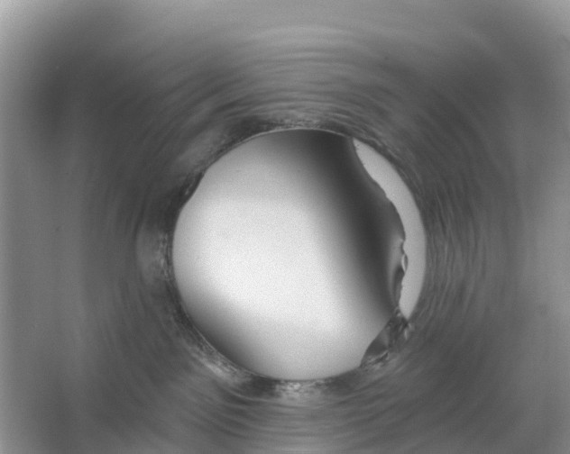 X0000065950141200603311755