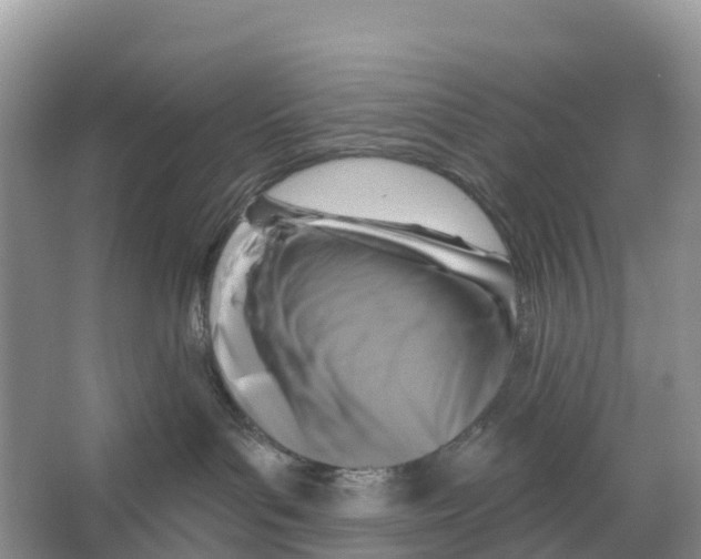 X0000065950143200603311755