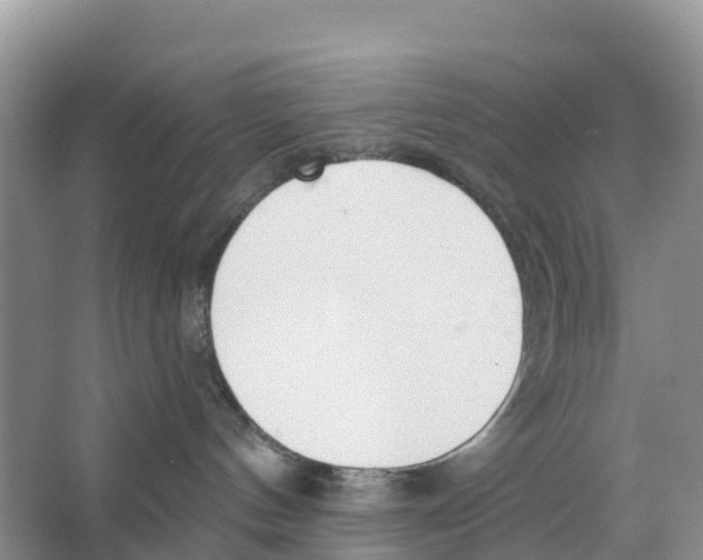 X0000065950144200603311755