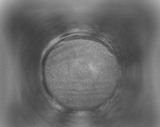 X0000065950149200603311755