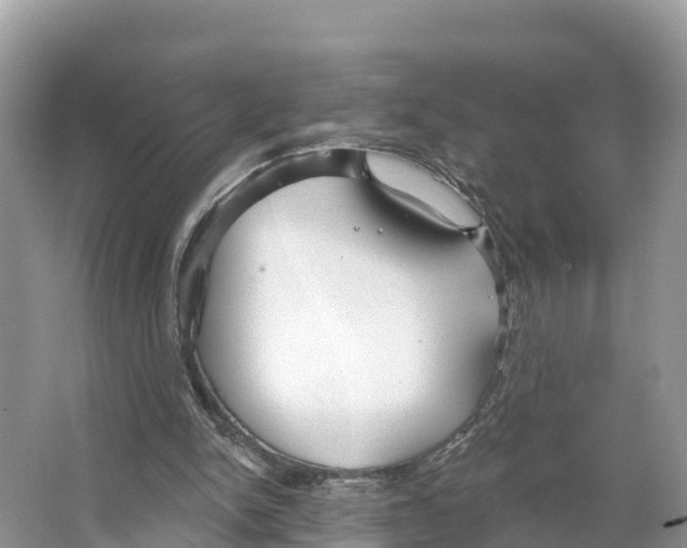X0000065950150200603311755