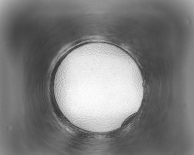 X0000065950151200603311755