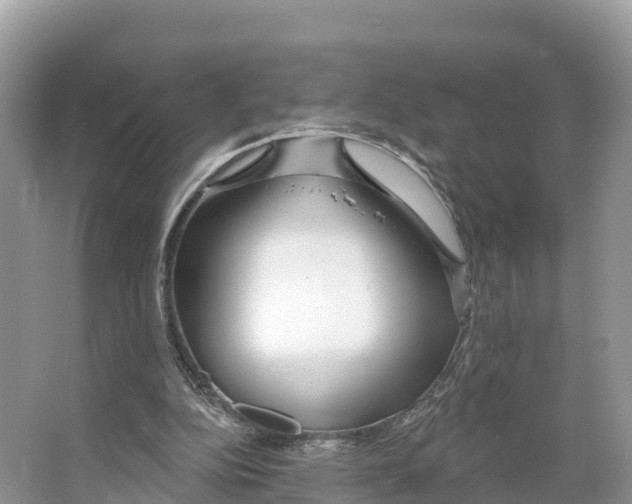 X0000065950152200603311755