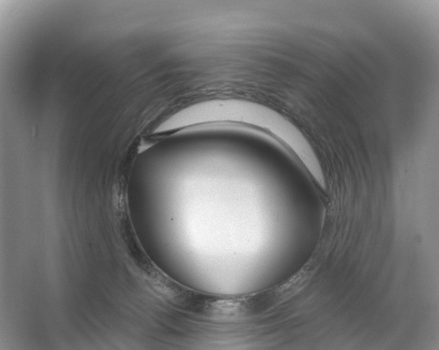 X0000065950176200603311755