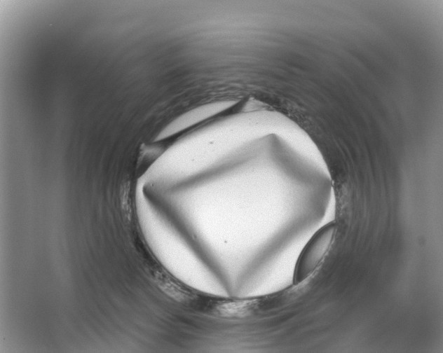 X0000065950178200603311755